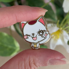Load image into Gallery viewer, DanDD Gold Plated Hard Enamel Pins
