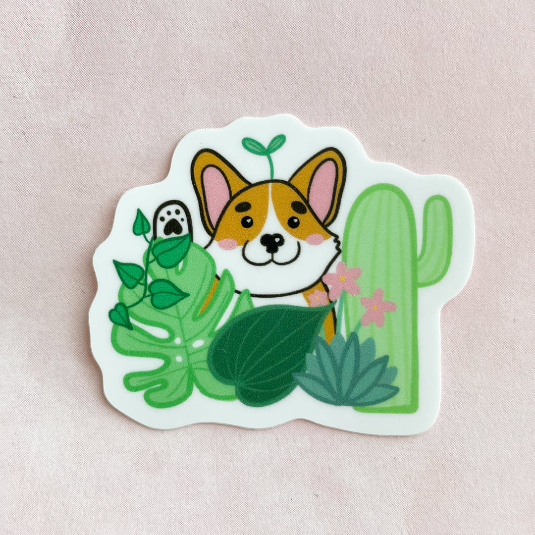 Orange corgi with a sprout on his head among different house plants and cacti